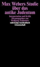 Wolfgan Schluchter, Wolfgang Schluchter - Max Webers Studie &uuml;ber das antike Judentum