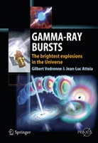 Jean-Luc Atteia, Gilber Vedrenne, Gilbert Vedrenne - Gamma-Ray Bursts