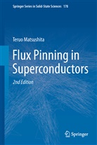 Teruo Matsushita - Flux Pinning in Superconductors