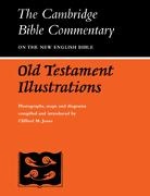 Clifford M. Jones, P. R. Ackroyd, A. R. C. Leaney - Old Testament Illustrations