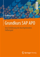 Andreas Witt - Grundkurs SAP APO