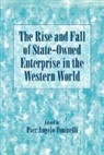 Pier Angelo Toninelli, Pier Angelo (Universit... Degli Studi D Toninelli, Pier Angelo (Universita Degli Studi DI Toninelli, Pier Angelo Toninelli, Toninelli Pier Angelo - Rise and Fall of State-Owned Enterprise in the Western World