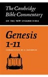 Robert Davidson, Davidson Robert - Genesis 1-11