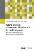 J&ouml;rg M. Fegert, J&ouml;r M Fegert, J&ouml;rg M Fegert, WOLFF, Wolff, Mechthild Wolff - Kompendium "Sexueller Missbrauch in Institutionen"