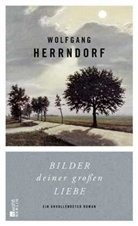 Wolfgang Herrndorf - Bilder deiner gro&szlig;en Liebe