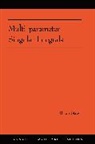 Brian Street, Brian Street, Street Brian, Phillip Griffiths, John N. Mather, Elias Stein - Multi-Parameter Singular Integrals, Volume I