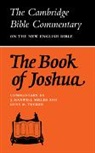 J. Maxwell Miller, J.maxwell Miller, Gene M. Tucker - The Book of Joshua