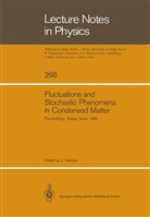 Lui Garrido, Luis Garrido - Fluctuations and Stochastic Phenomena in Condensed Matter