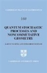 Debashish Goswami, Debashish (Assistant Professor) Goswami, Kalyan B Sinha, Kalyan B. Sinha, Kalyan B. (Indian Statistical Institute Sinha, Kalyan B. Goswami Sinha - Quantum Stochastic Processes and Noncommutative Geometry