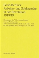 Gerhard Engel, Gab Huch, Gaby Huch, Ingo Materna - Gro&szlig;-Berliner Arbeiter- und Soldatenr&auml;te in der Revolution 1918/19: Vom Generalstreikbeschlu&szlig; am 3. M&auml;rz 1919 bis zur Spaltung der R&auml;teorgane im Juli 1919