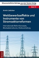 Armin Liebchen - Wettbewerbseffekte und Instrumente von Stromsektorreformen