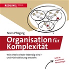Niels Pfl&auml;ging - Organisation f&uuml;r Komplexit&auml;t