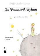 Antoine de Saint Exup&eacute;ry, Antoine de Saint-Exup&eacute;ry - An Pennsevik Byhan