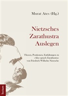 Mura Ates, Murat Ates, Gaia Domenici, Ulrich Alexander G&ouml;tz, Han, Choong-Su Han... - Nietzsches Zarathustra Auslegen