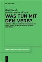 Birgi Mesch, Birgit Mesch, ROTHSTEIN, Rothstein, Bj&ouml;rn Rothstein - Was tun mit dem Verb?