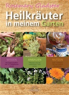 Rosemary Gladstar - Heilkr&auml;uter in meinem Garten