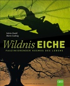 Mari Ludwig, Mario Ludwig, Mario Dr. Ludwig, Solvi Zankl, Solvin Zankl - Wildnis Eiche