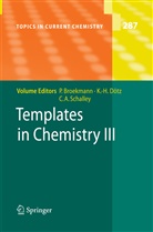 Christoph A Schalley, Peter Broekmann, Karl H. D&ouml;tz, Karl Heinz D&ouml;tz, Kar Heinz D&ouml;tz, Karl Heinz D&ouml;tz... - Templates in Chemistry III. Vol.III
