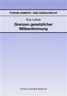 Eva Lohse - Grenzen gesetzlicher Mitbestimmung