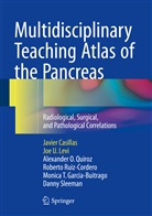 Javie Casillas, Javier Casillas, Monica T. Garcia-Buitrago, Joe Levi, Joe U Levi, Joe U. Levi... - Multidisciplinary Teaching Atlas of the Pancreas