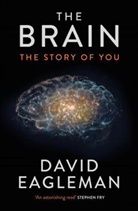 David Eagleman - The Brain