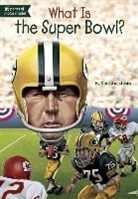 Dina Anastasio, Dina/ Groff Anastasio, Anastasio Dina, David Groff, Kevin Mcveigh, Who Hq... - What Is the Super Bowl?