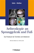 Mellan Galla, Mellany Galla, Mellan Galla (Dr. med.), Walther, Walther, Markus Walther... - Arthroskopie an Sprunggelenk und Fu&szlig;
