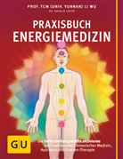 Natalie Lauer, Natalie (Dr.) Lauer, Li Wu, Li (Prof. TCM Dr. Wu, Li (Prof. TCM Dr.) Wu - Praxisbuch Energiemedizin