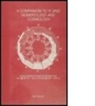 Bent Nielsen, Nielsen Bent - Companion to Yi Jing Numerology and Cosmology