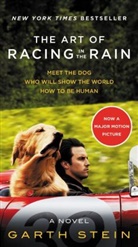 Garth Stein - The Art of Racing in the Rain