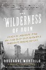 Roseanne Montillo - The Wilderness of Ruin