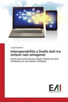 Luigi Brandolini - Interoperabilit&agrave; a livello dati tra sistemi non omogenei