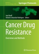 Antonio Sebastiao Rodrigues, Antonio Sebasti&atilde;o Rodrigues, Ant&oacute;nio Sebasti&atilde;o Rodrigues, Jos Rueff, Jose Rueff, Sebasti&atilde;o Rodrigues... - Cancer Drug Resistance