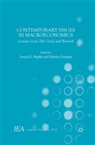 International Economic Association, Joseph E. Guzman Stiglitz, Joseph E Stiglitz, Martin Guzman, Kenneth A Loparo, Kenneth A. Loparo... - Contemporary Issues in Macroeconomics