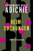 Chimamanda Ngozi Adichie, Chimamanda Ngozi Adichie schreibt als Nwa Grace-James - Heimsuchungen