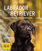 Katharina Schlegl-Kofler - Labrador Retriever