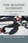 Dominik H. Enste, Enste Dominik H., Friedrich Schneider, Friedrich (Johannes Kepler Universitat Schneider, Friedrich Enste Schneider, Schneider Friedrich - Shadow Economy