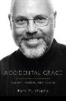 Rami Shapiro - Accidental Grace