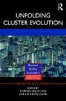 Fiorenza (University of Padova Belussi, Fiorenza Hervas Oliver Belussi, Fiorenza Hervas-Oliver Belussi, Fiorenza Belussi, Belussi Fiorenza, Jose Luis Hervas Oliver... - Unfolding Cluster Evolution