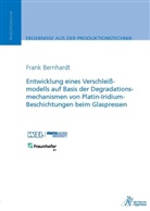 Frank Bernhardt - Entwicklung eines Verschlei&szlig;modells auf Basis der Degradationsmechanismen von Platin-Iridium-Beschichtungen beim Glaspressen
