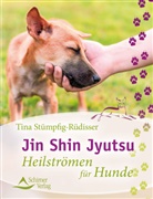 Tina St&uuml;mpfig-R&uuml;disser - Jin Shin Jyutsu