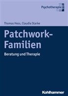 Thoma Hess, Thomas Hess, Claudia Starke - Patchwork-Familien