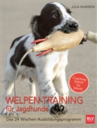 Julia Num&szlig;en, Julia Num&szlig;en - Welpen-Training f&uuml;r Jagdhunde