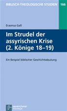 Erasmus Ga&szlig;, J&ouml;rg Frey, Erasmus Ga&szlig;, Friedhel Hartenstein, Friedhelm Hartenstein, Bernd Janowski... - Im Strudel der assyrischen Krise (2. K&ouml;nige 18-19)