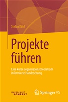 Stefan K&uuml;hl - Projekte f&uuml;hren; .