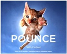 Seth Casteel, Casteel Seth - Pounce