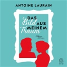 Antoine Laurain, Axel Wostry - Das Bild aus meinem Traum, 3 Audio-CDs (Audio book)