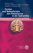 Lucian Gabriela Soares Santoprete, Luciana Gabriela Soares Santoprete, Chi O Tommasi, Helmut Seng, Luciana Gabriela Soares Santoprete, Chiara O. Tommasi - Formen und Nebenformen des Platonismus in der Sp&auml;tantike