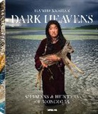 Hamid Sardar - Dark Heavens Young Falconer