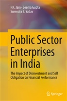 Seem Gupta, Seema Gupta, P Jain, P K Jain, P. K. Jain, P.K. Jain... - Public Sector Enterprises in India